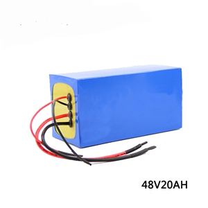 48V 20AH-EV Battery Pack
